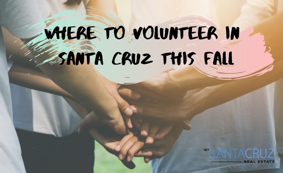 how to volunteer in Santa Cruz